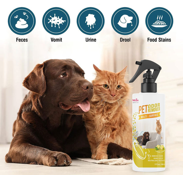 Petlux Déodorant pour animaux de compagnie spray chien &chat