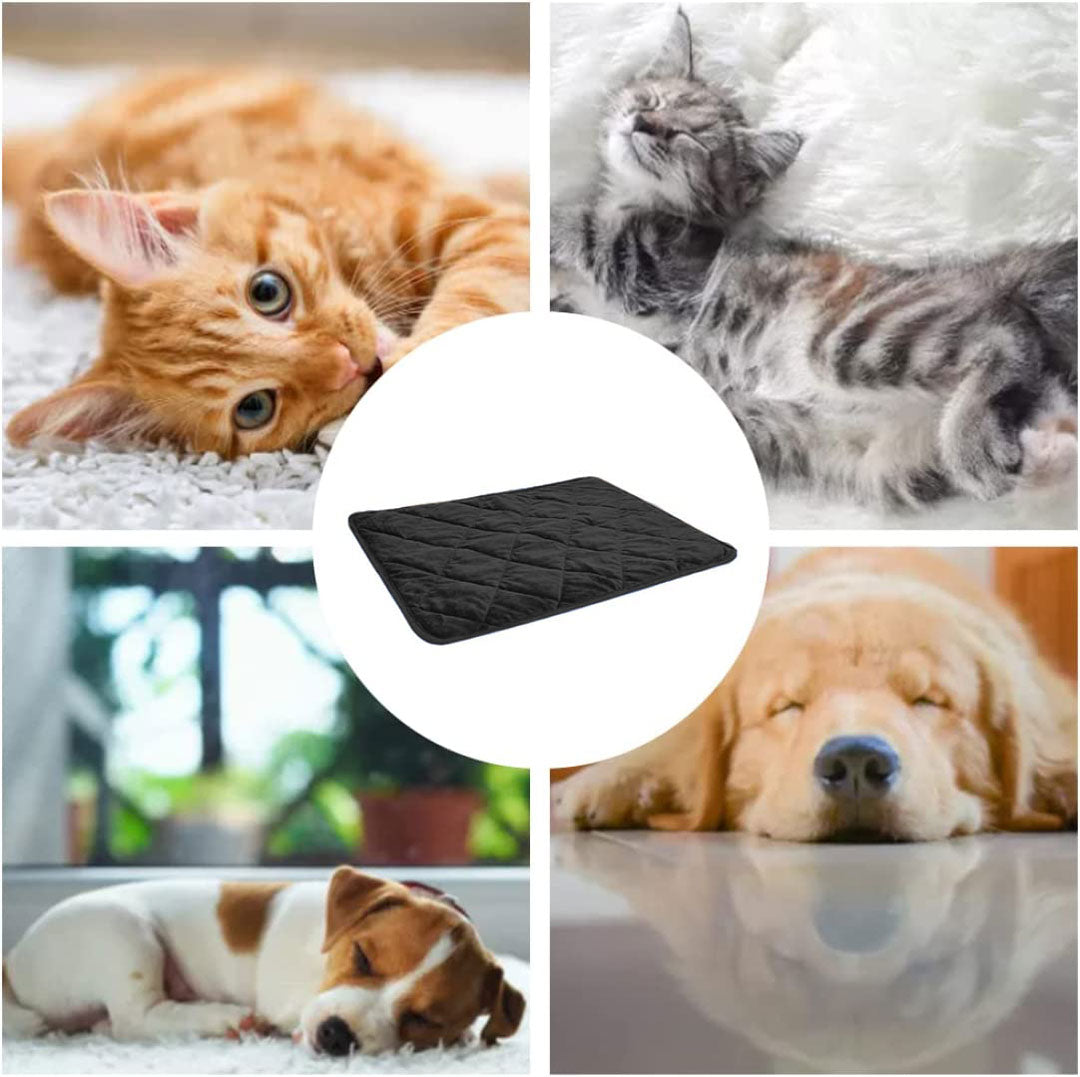 Tapis  chauffant noir pour chient et chat moyens