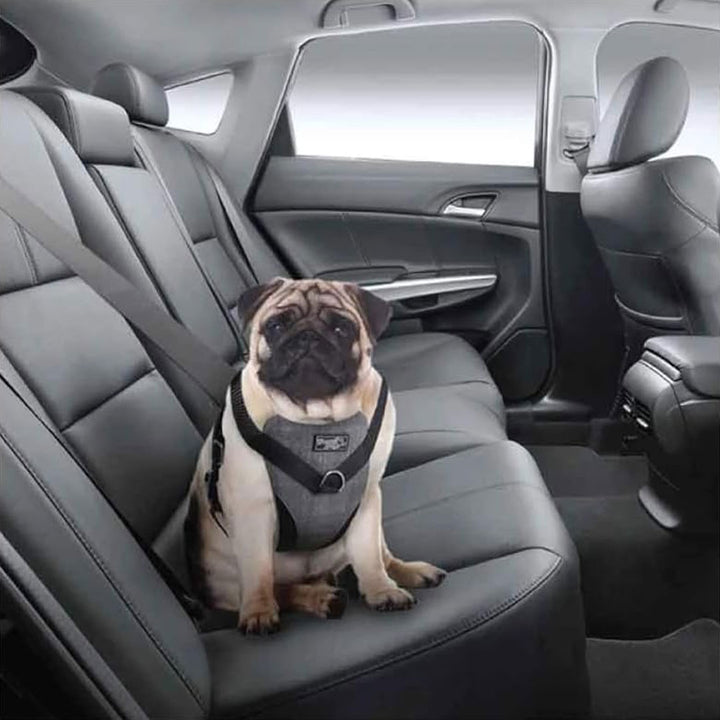 Harnais de sécurité pour siège de voiture S/M/L/XL