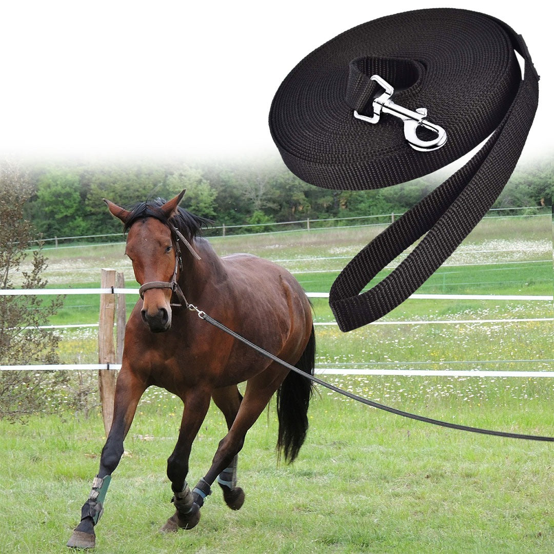 Longe de Travail Pour  Cheval 20M