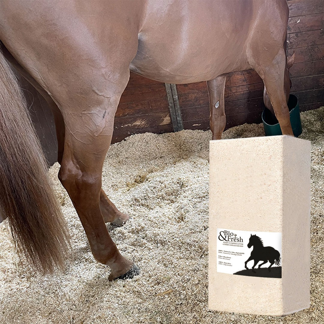 Litière Absorbante  pour chevaux en bois