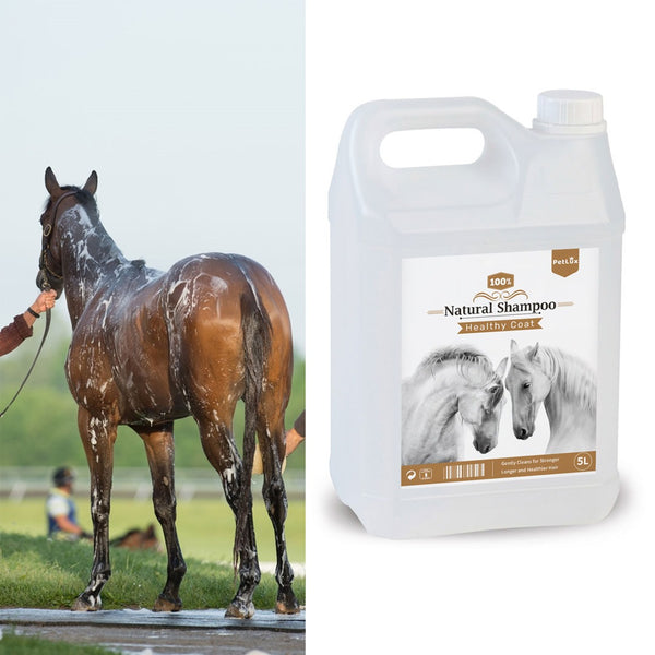 Naturel shampoing pour cheval 5L