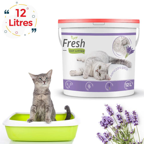 Fresh Litière agglomérante parfumée lavander 12 L