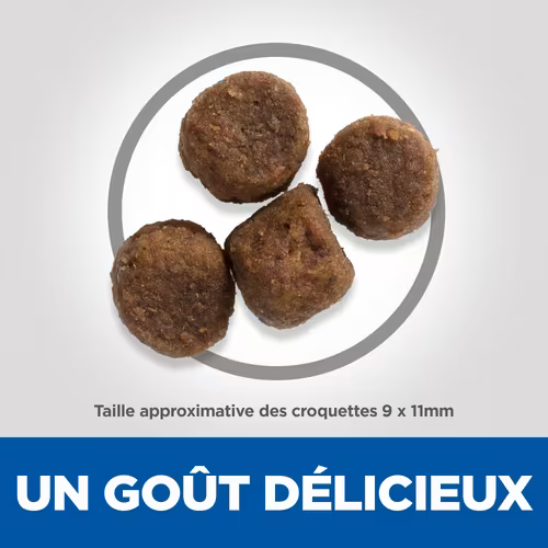 Hill’s Science Aliment pour Chiot Medium Agneau & riz (2.5kg)