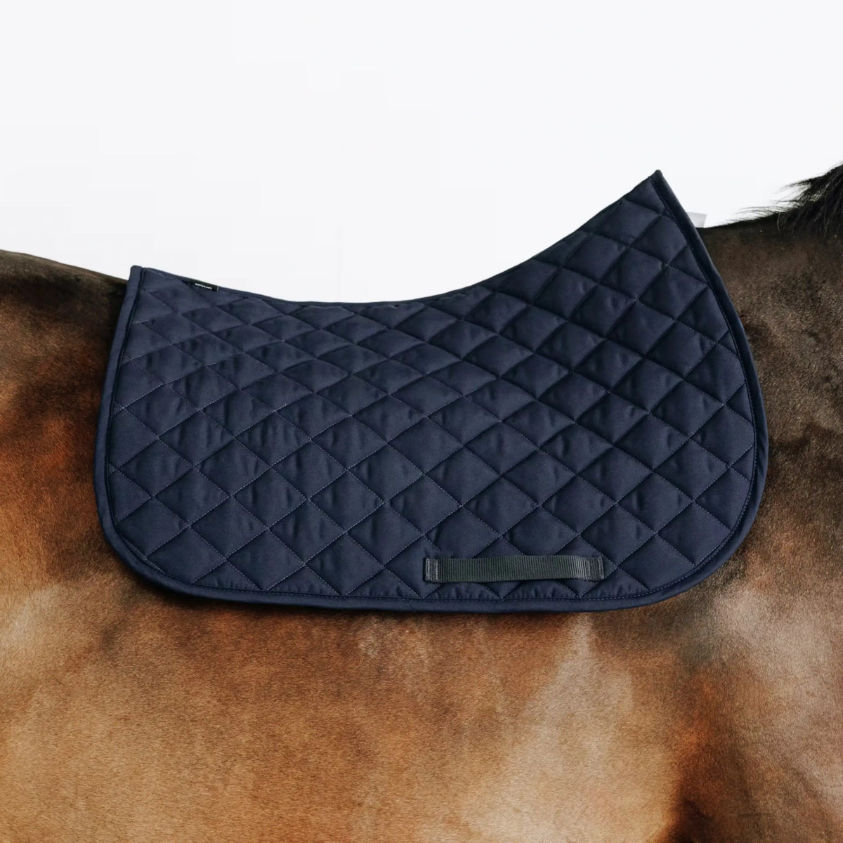 Tapis de selle cheval bleu marine matelassé pour équitation au Maroc, accessoire confort et stabilité.